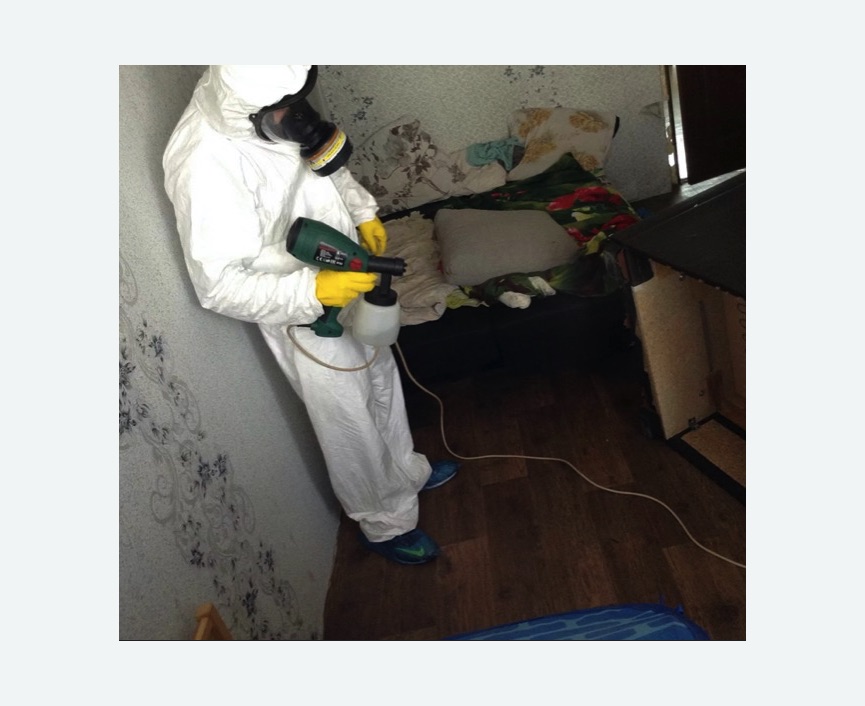 Обработка от насекомых Верхние Серги Обработка квартиры от насекомых